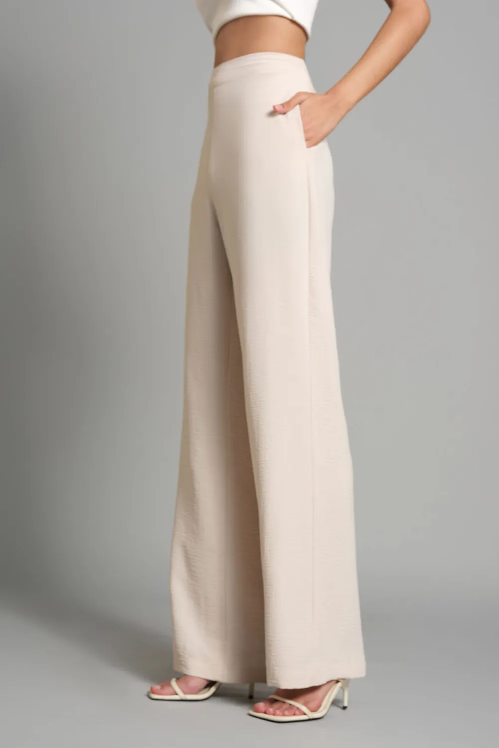 Beige Casual Wear Wide-Leg Pants
